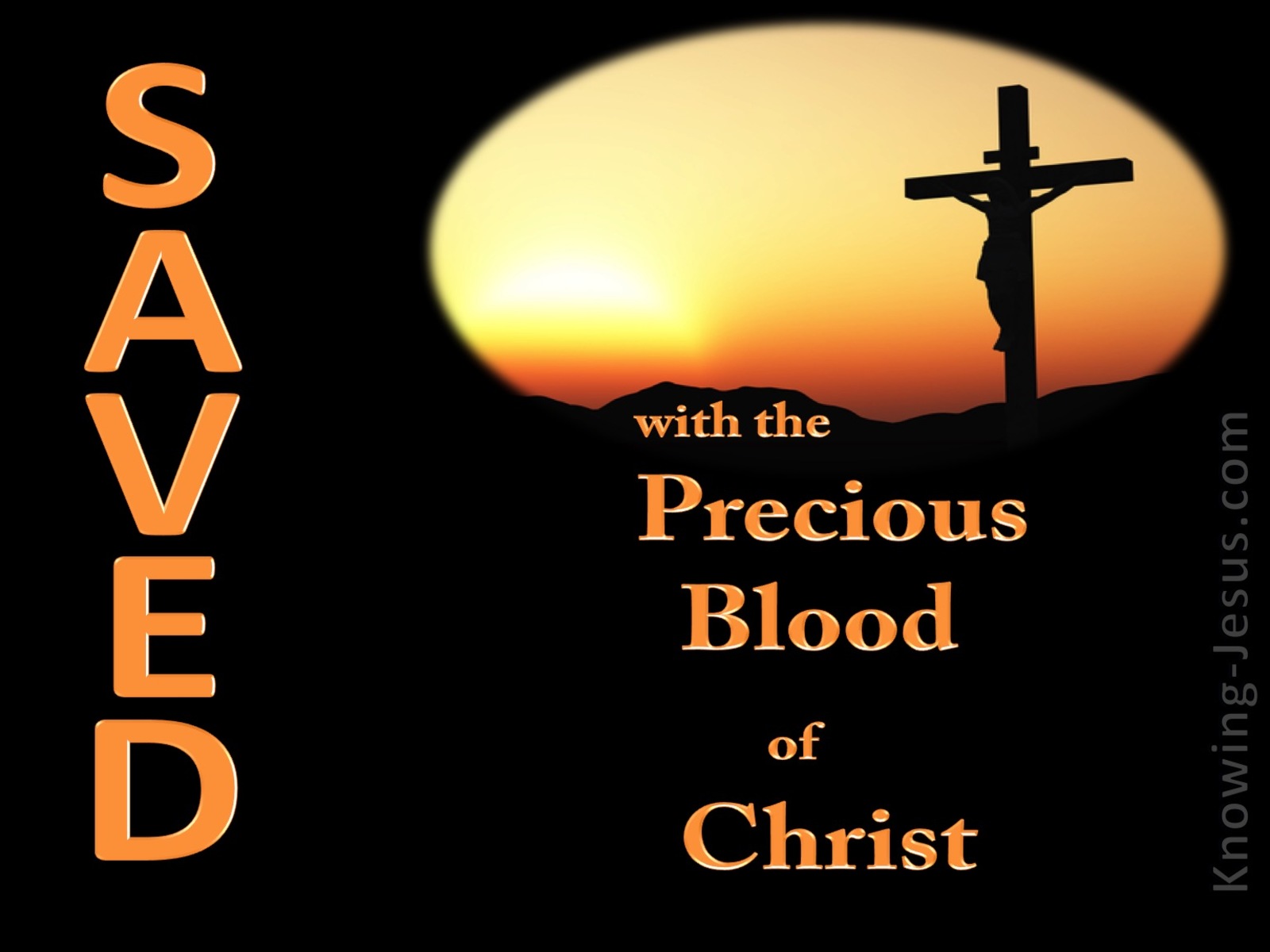 1 Peter 1:19 Saved With the Precious Blood of Christ (black)